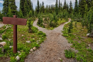 Which Path? article